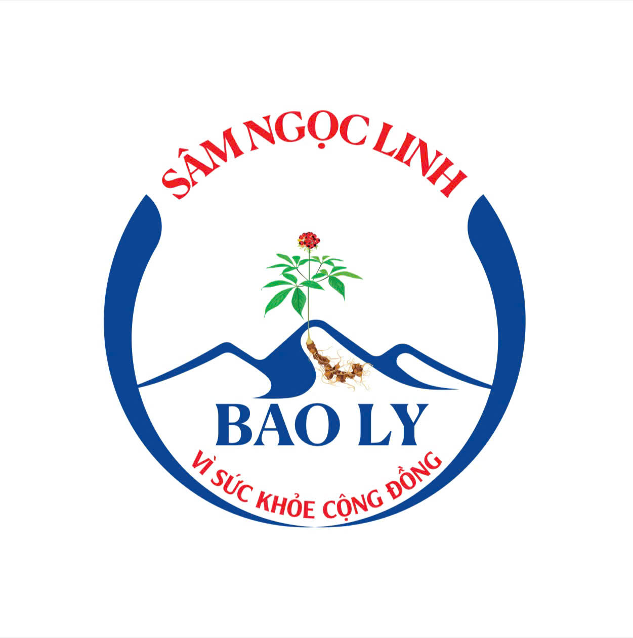 samngoclinhbaoly.com